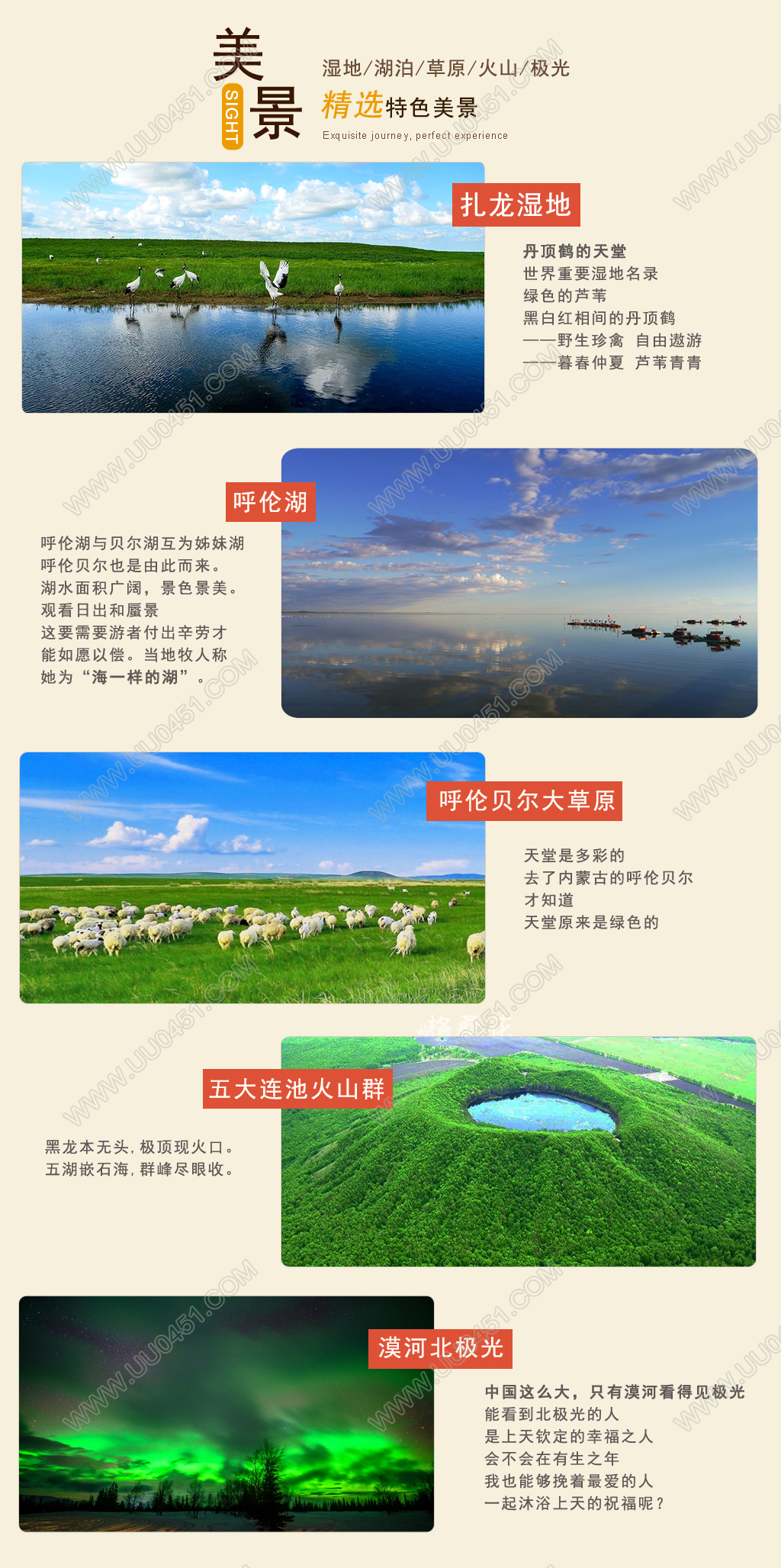 漠河9日包装图1024px_01_02