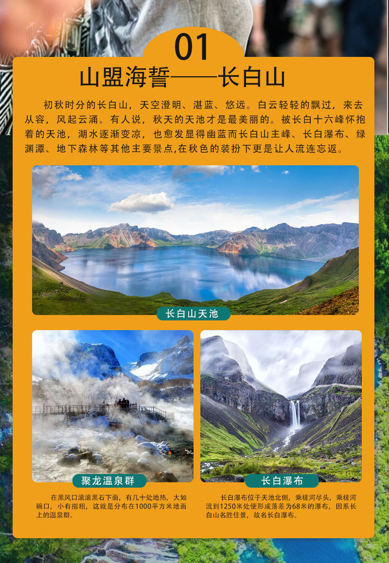 图片8