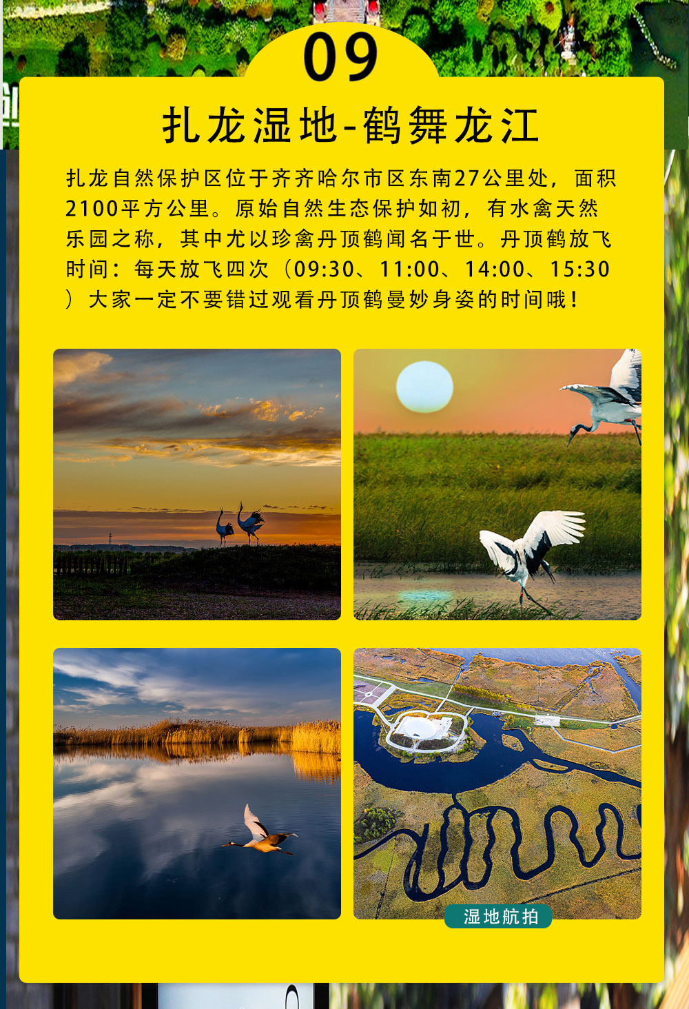 北国第一秋003_14