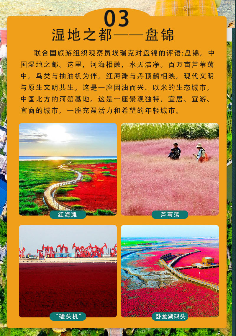 图片10