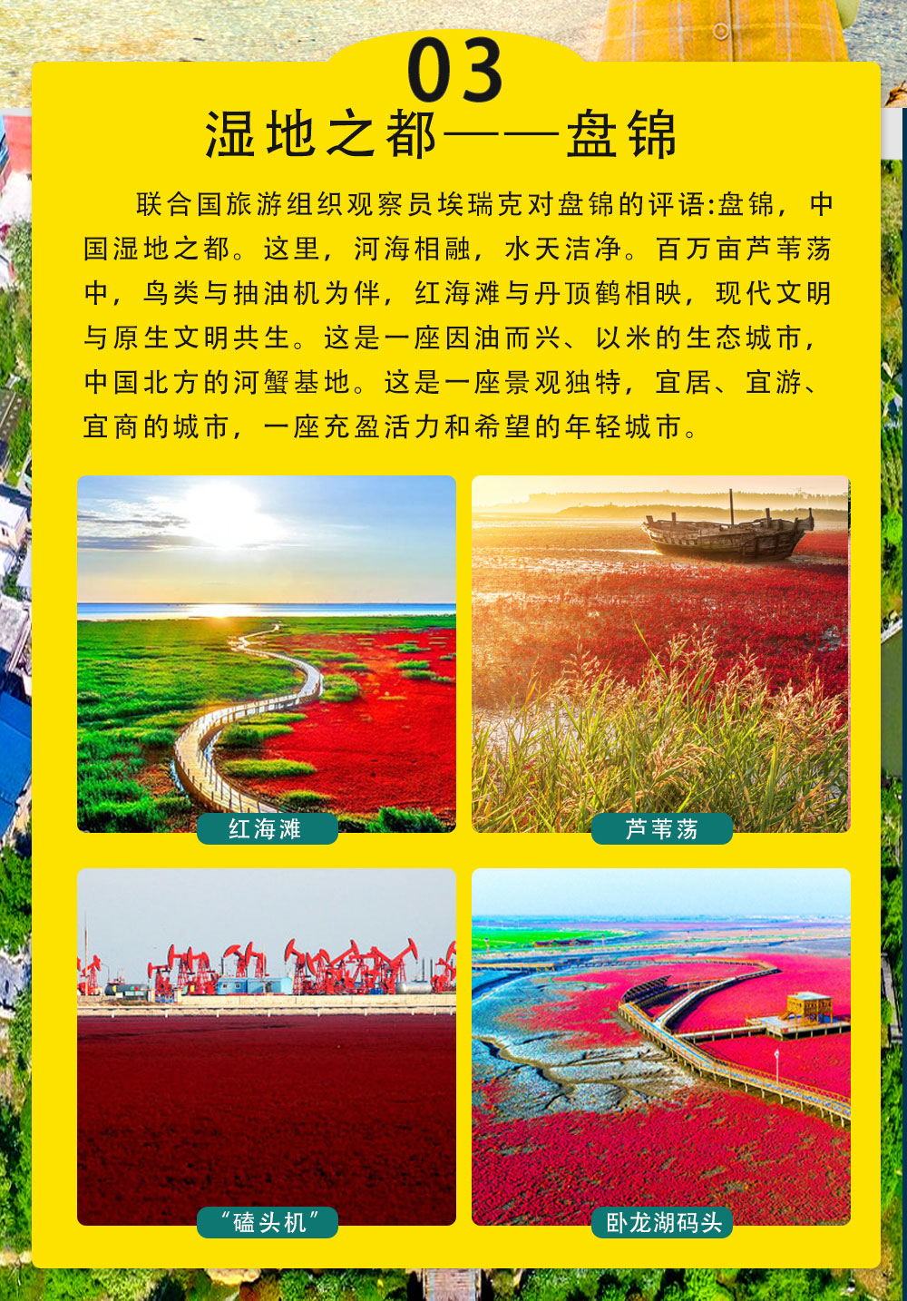 北国第一秋003_08