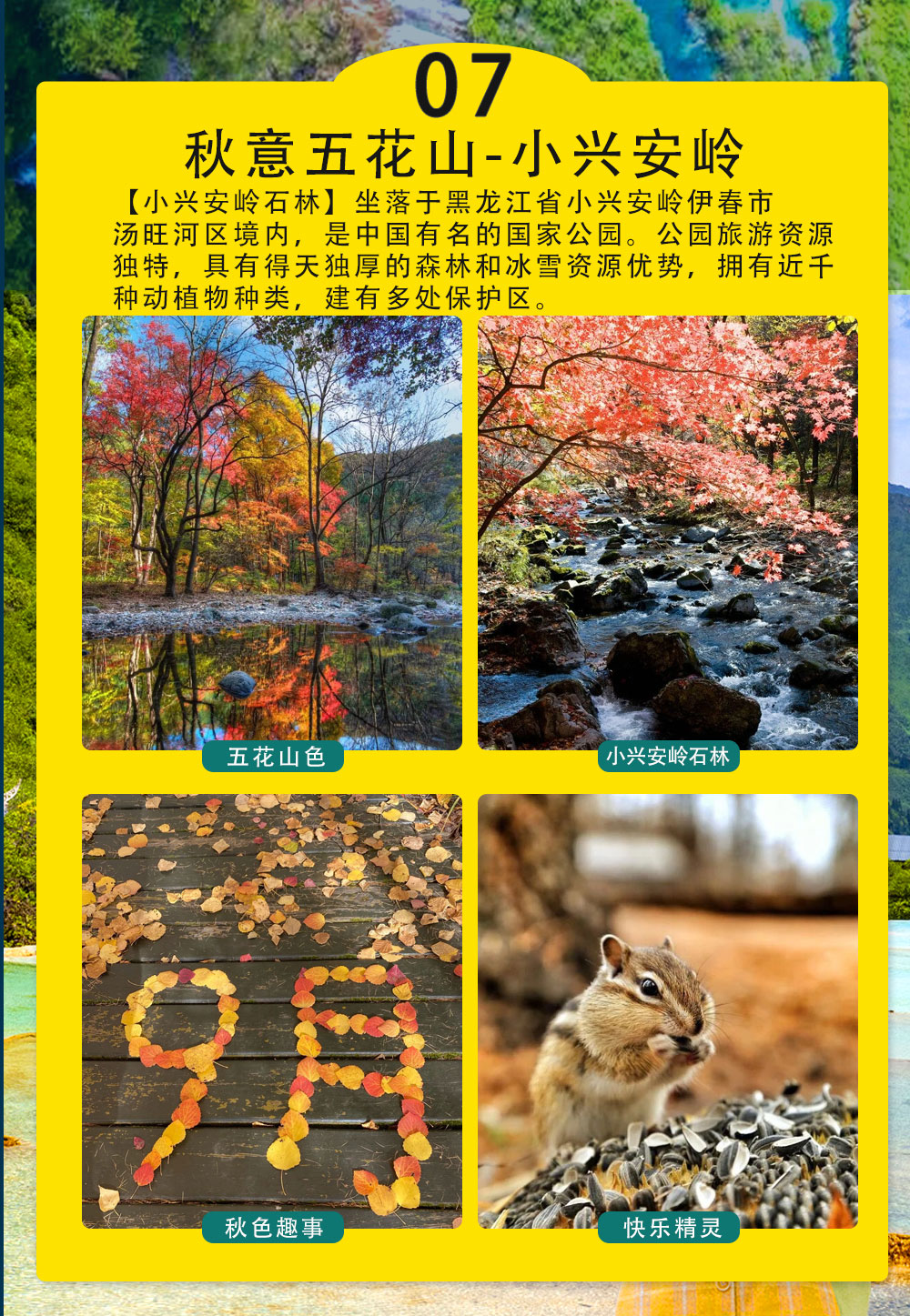 北国第一秋003_12